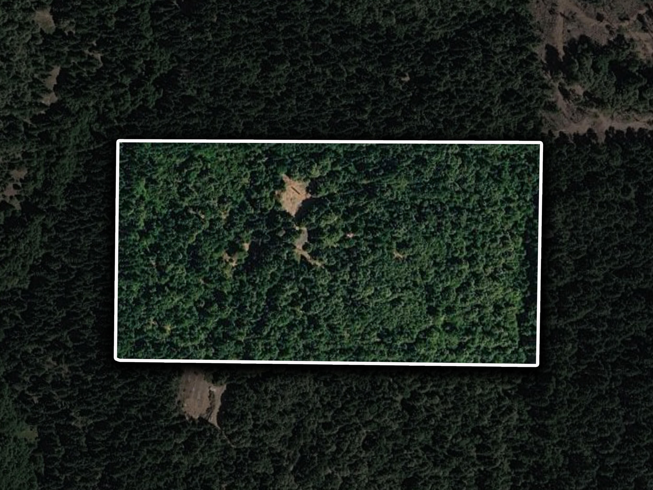 1259 Waldo Road Cave Junction, OR 97523 - Photo 43 of 46 40_1259 waldo rd - lotline 1