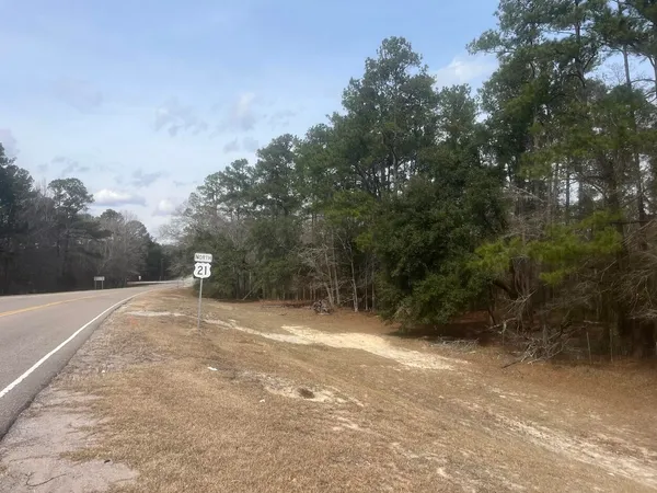 $150,000 | 0 Low Country Highway, Yemassee, SC 29945
