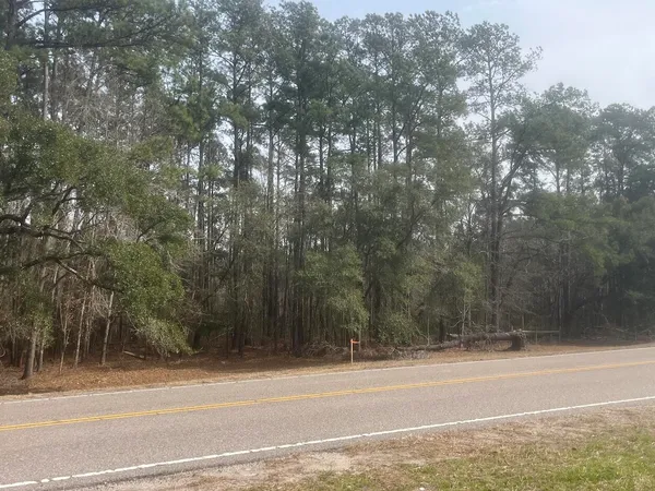 $150,000 | 0 Low Country Highway, Yemassee, SC 29945