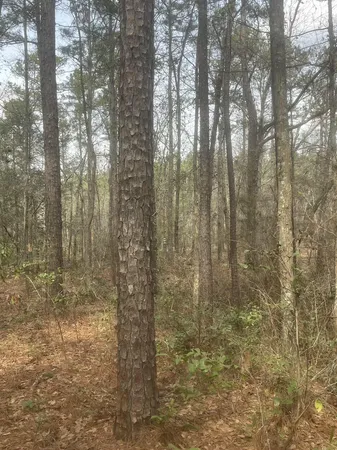 $150,000 | 0 Low Country Highway, Yemassee, SC 29945