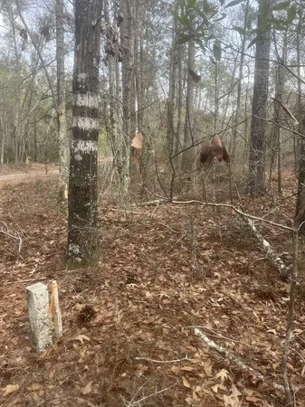 $150,000 | 0 Low Country Highway, Yemassee, SC 29945