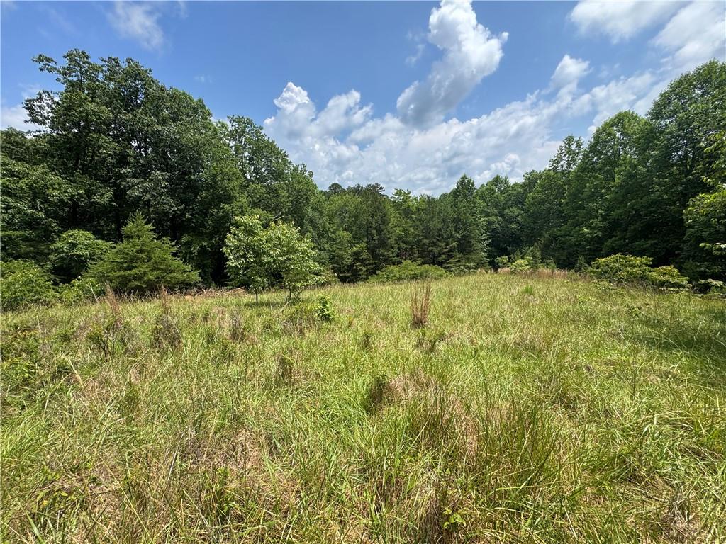 3.5-ac Ben Higgins Road Dahlonega, GA 30533 - Photo 16 of 21