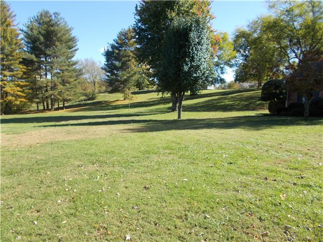 3929 Sowell Hollow Road Columbia, TN 38401 - Photo 3 of 18 Gallery Image 3