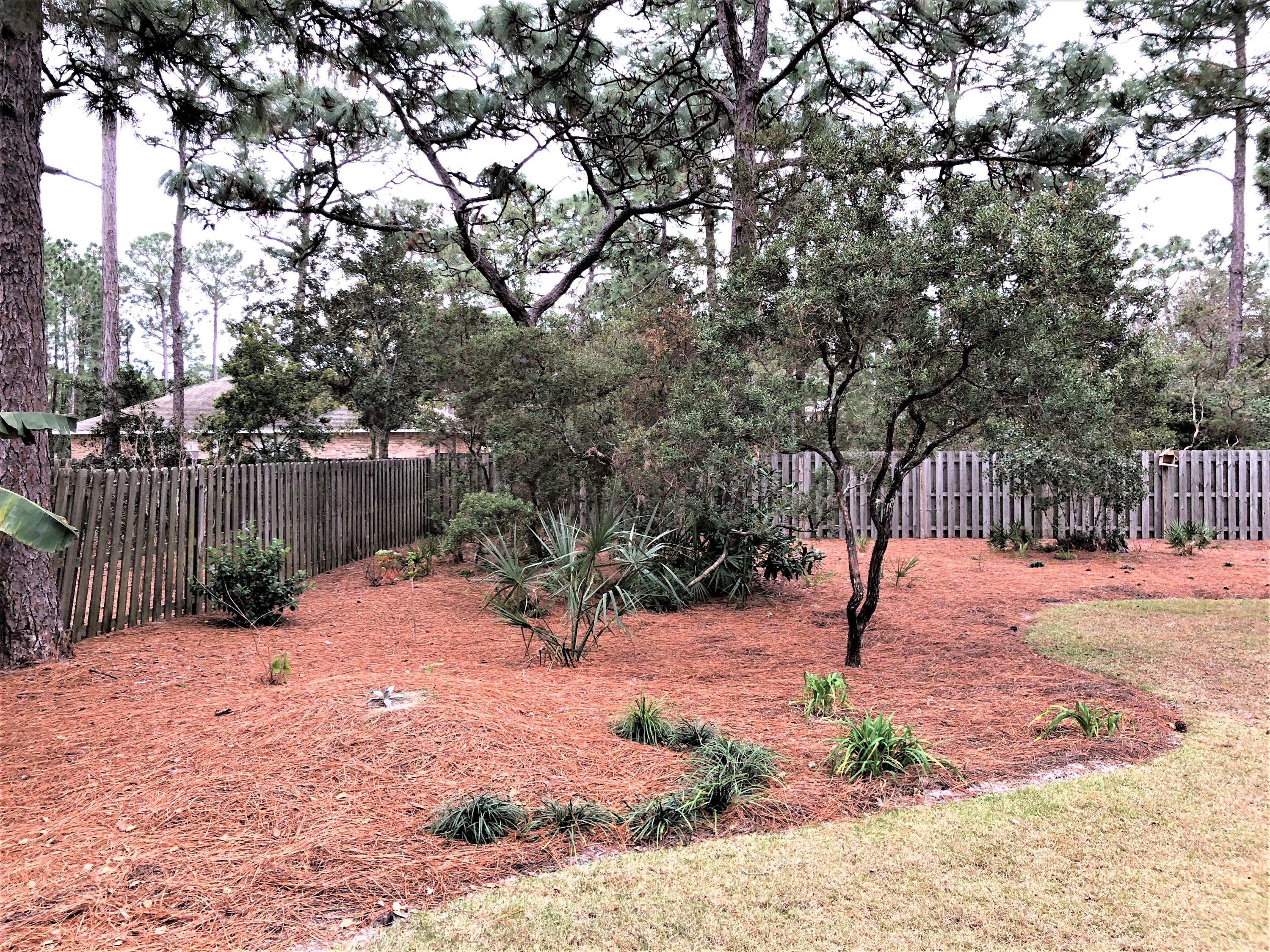 44 East Shipwreck Road Santa Rosa Beach, FL 32459 - Photo 3 of 33 a view of a backyard with a tree
