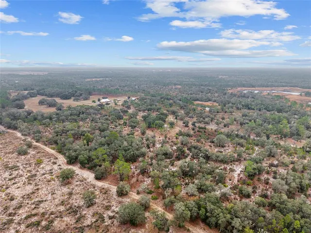 a view of a city with green space