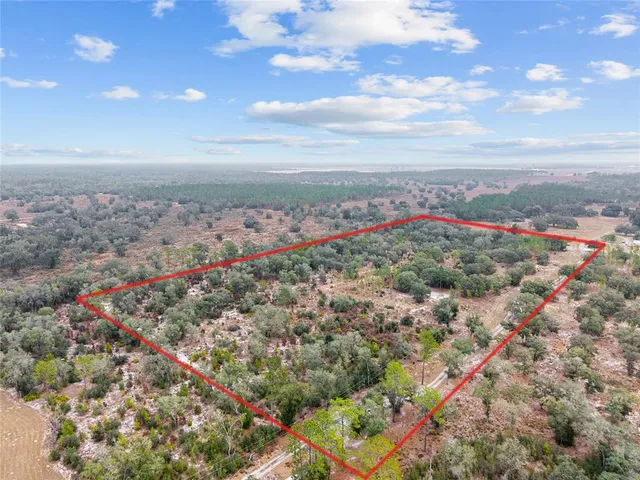 a view of a city with green space