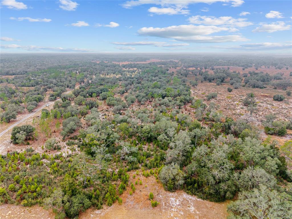 131 Northeast Ne Place Archer, FL 32618 - Photo 4 of 10 a view of a city with lush green forest