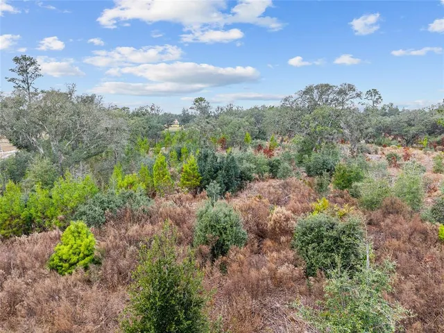 $890,000 | 131 Northeast Ne Place, Archer, FL 32618