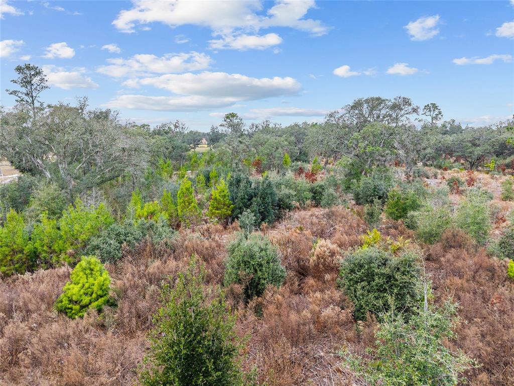 131 Northeast Ne Place Archer, FL 32618 - Photo 6 of 10 a view of a garden with plants and a bunch of trees