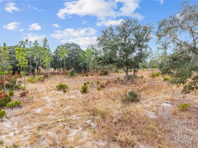 a view of a city with mountains in the background