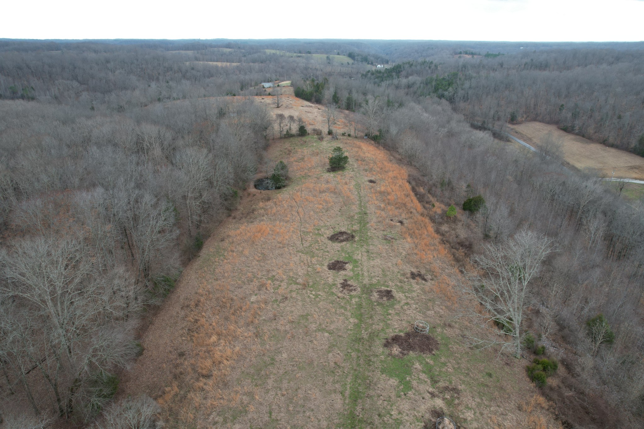0 Greenbriar Road Lawrenceburg, TN 38464 - Photo 11 of 22 Gallery Image 11