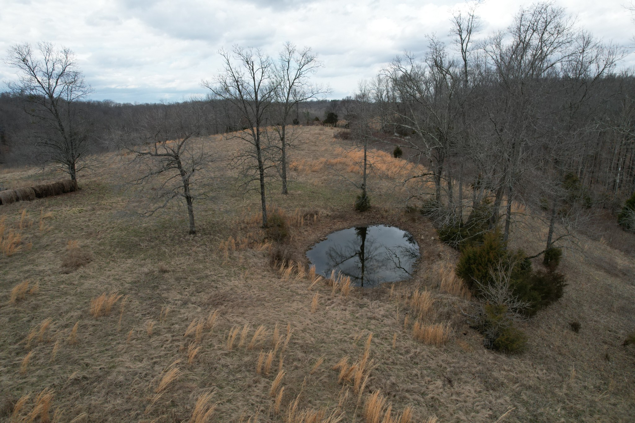 0 Greenbriar Road Lawrenceburg, TN 38464 - Photo 6 of 22 Gallery Image 6