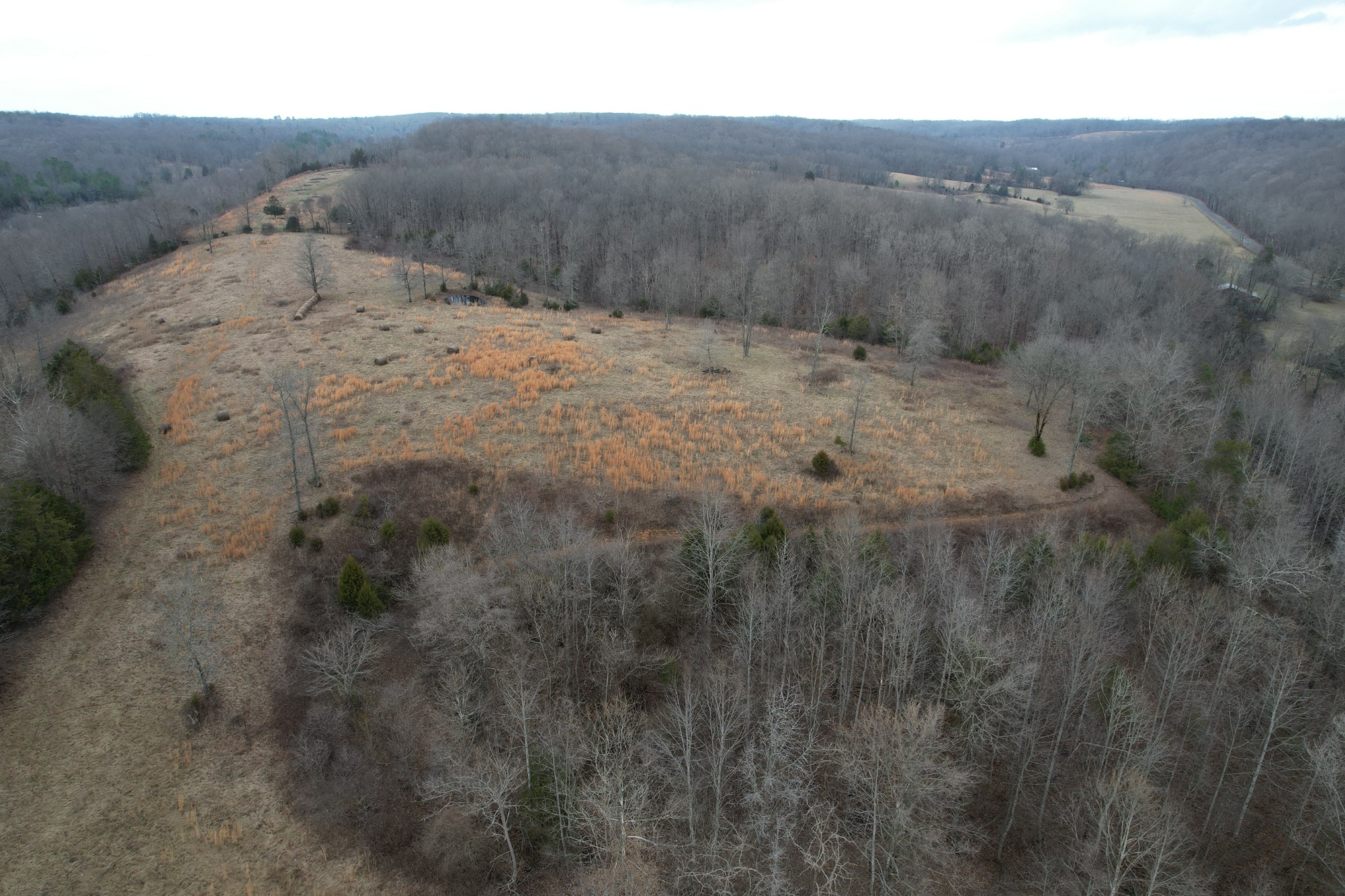 0 Greenbriar Road Lawrenceburg, TN 38464 - Photo 8 of 22 Gallery Image 8