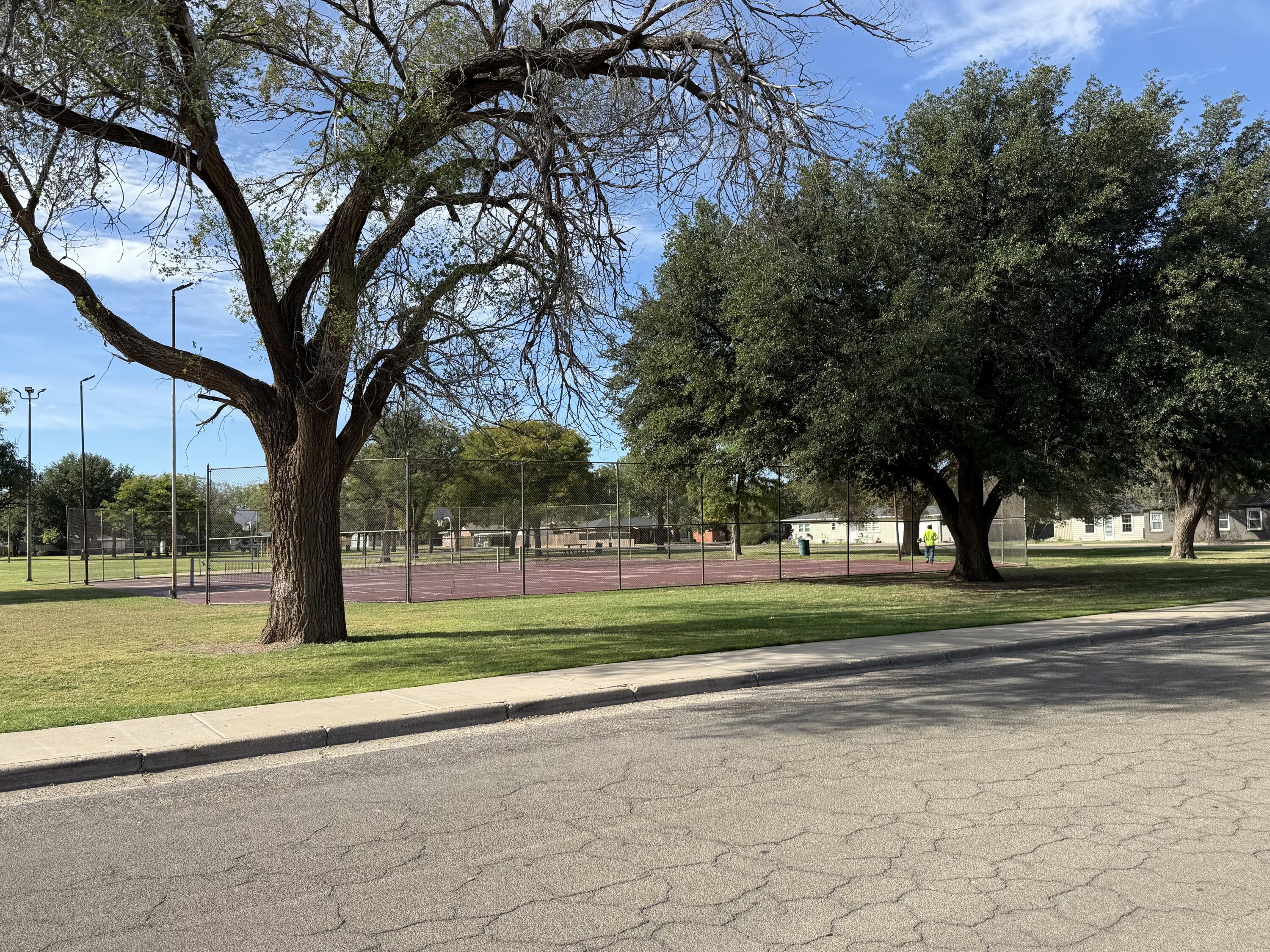 4206 42nd Street Lubbock, TX 79413 - Photo 24 of 25 a view of a trees in front of a house