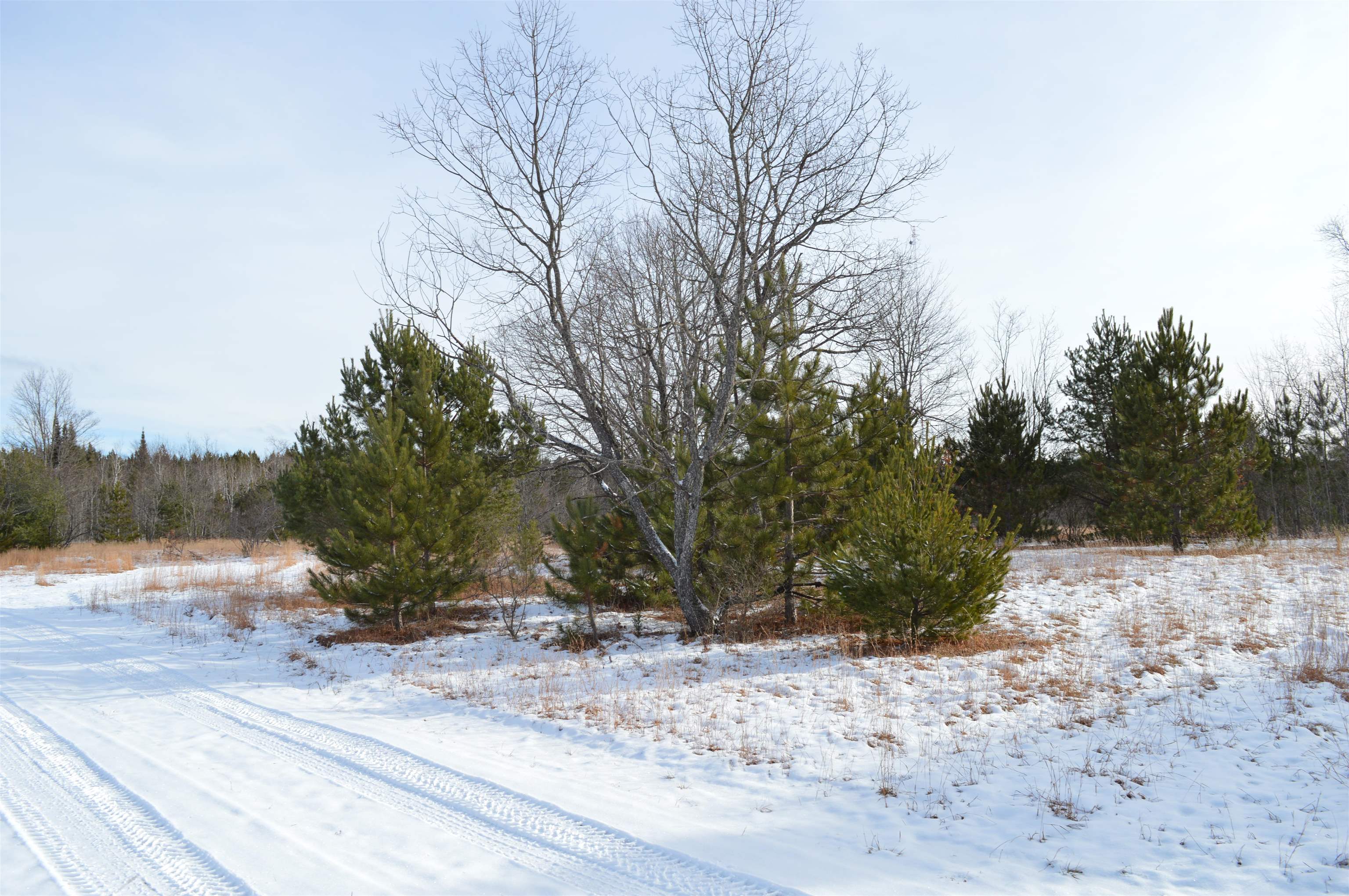 Off Wood Road Northeast Kalkaska, MI 49646 - Photo 10 of 22