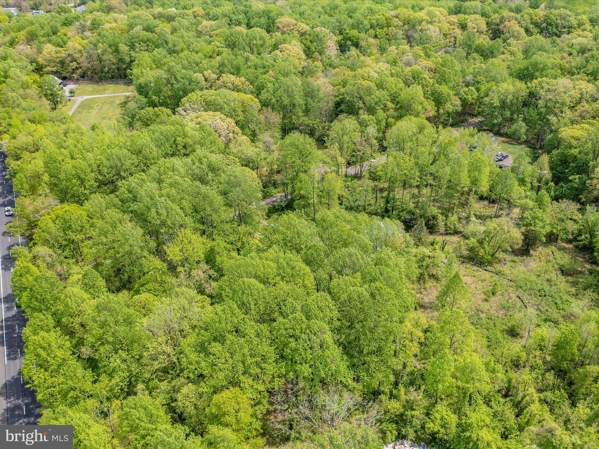 6205 Curtis Road Upper Marlboro, MD 20772 - Photo 12 of 20 a view of a big yard with plants and large trees