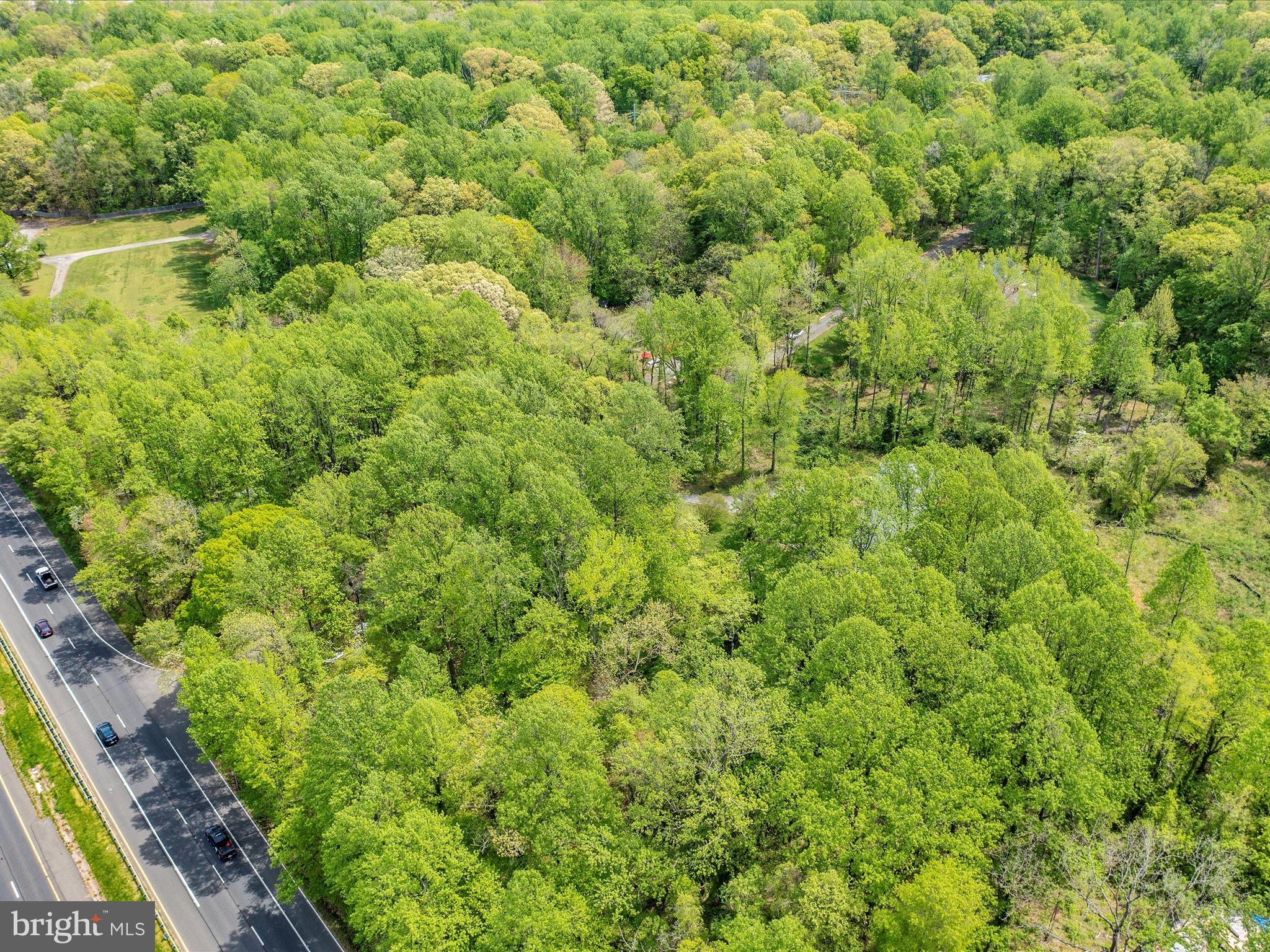 6205 Curtis Road Upper Marlboro, MD 20772 - Photo 13 of 20 a view of a large yard with a plants and large trees