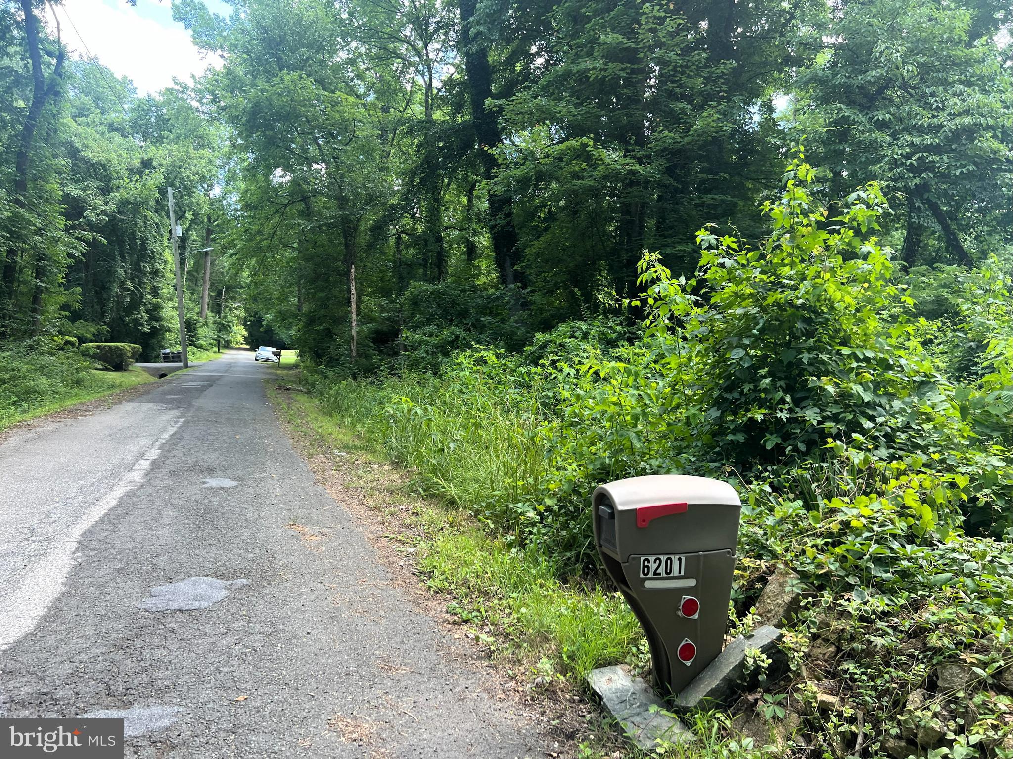 6205 Curtis Road Upper Marlboro, MD 20772 - Photo 16 of 20 a view of a backyard with trees