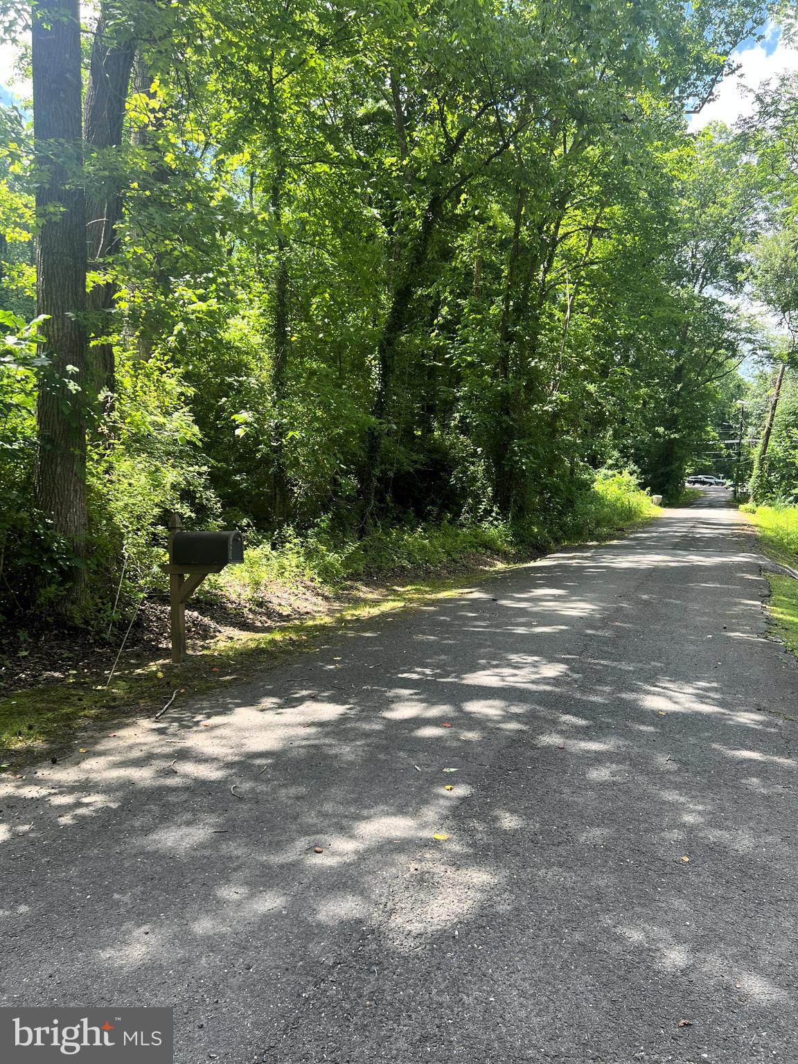 6205 Curtis Road Upper Marlboro, MD 20772 - Photo 18 of 20 a view of a yard with a tree