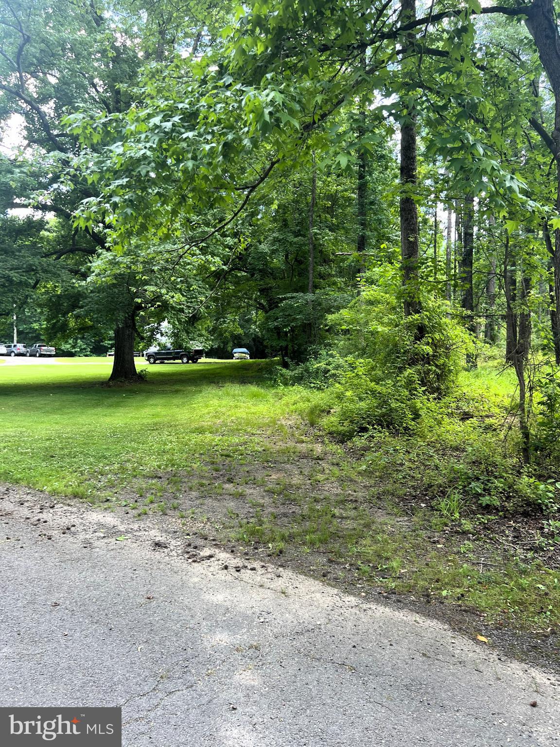 6205 Curtis Road Upper Marlboro, MD 20772 - Photo 19 of 20 a view of a big yard with plants and large trees