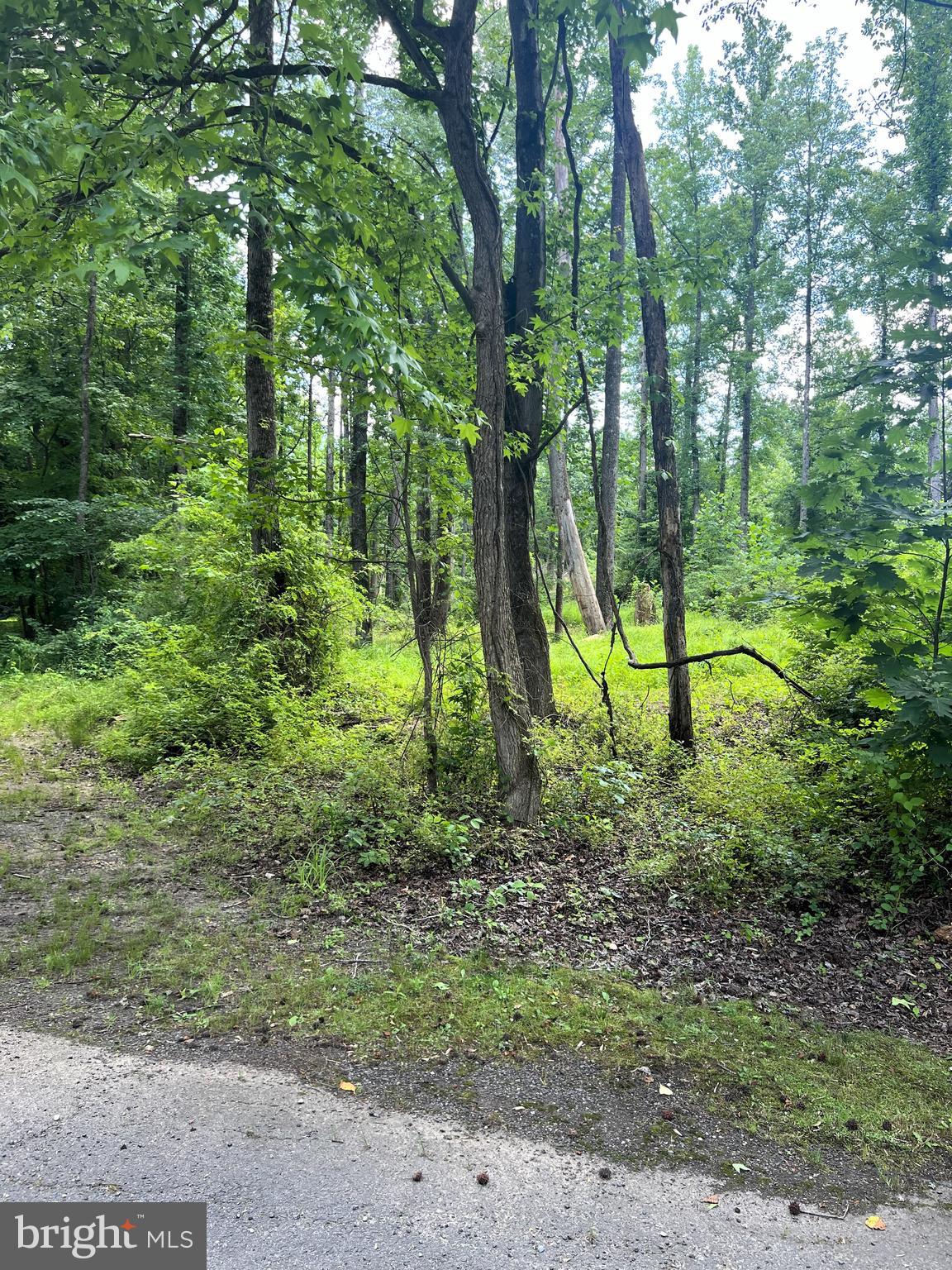 6205 Curtis Road Upper Marlboro, MD 20772 - Photo 20 of 20 a view of outdoor space and green space