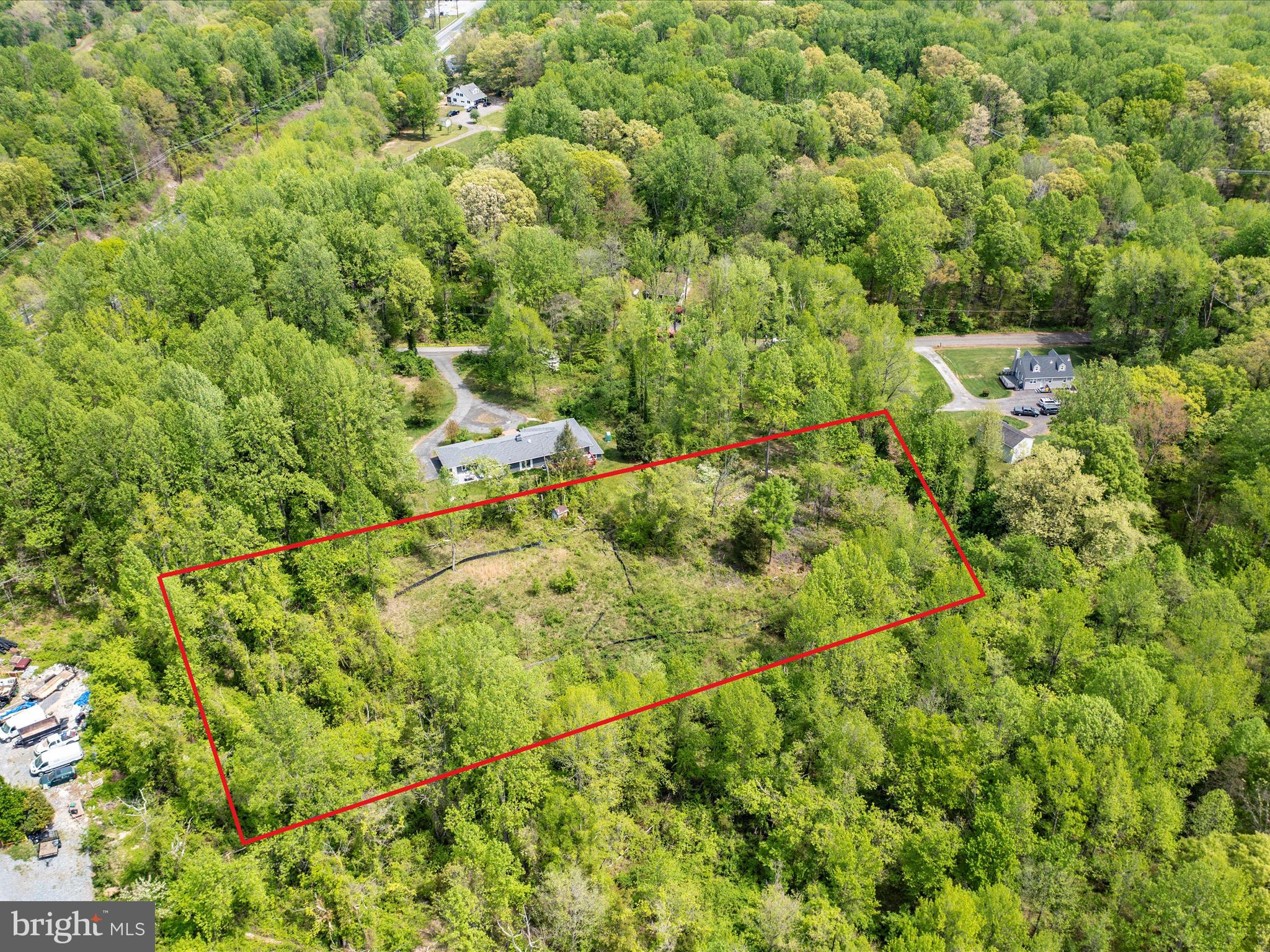 6205 Curtis Road Upper Marlboro, MD 20772 - Photo 7 of 20 a view of a lush green forest with lots of trees