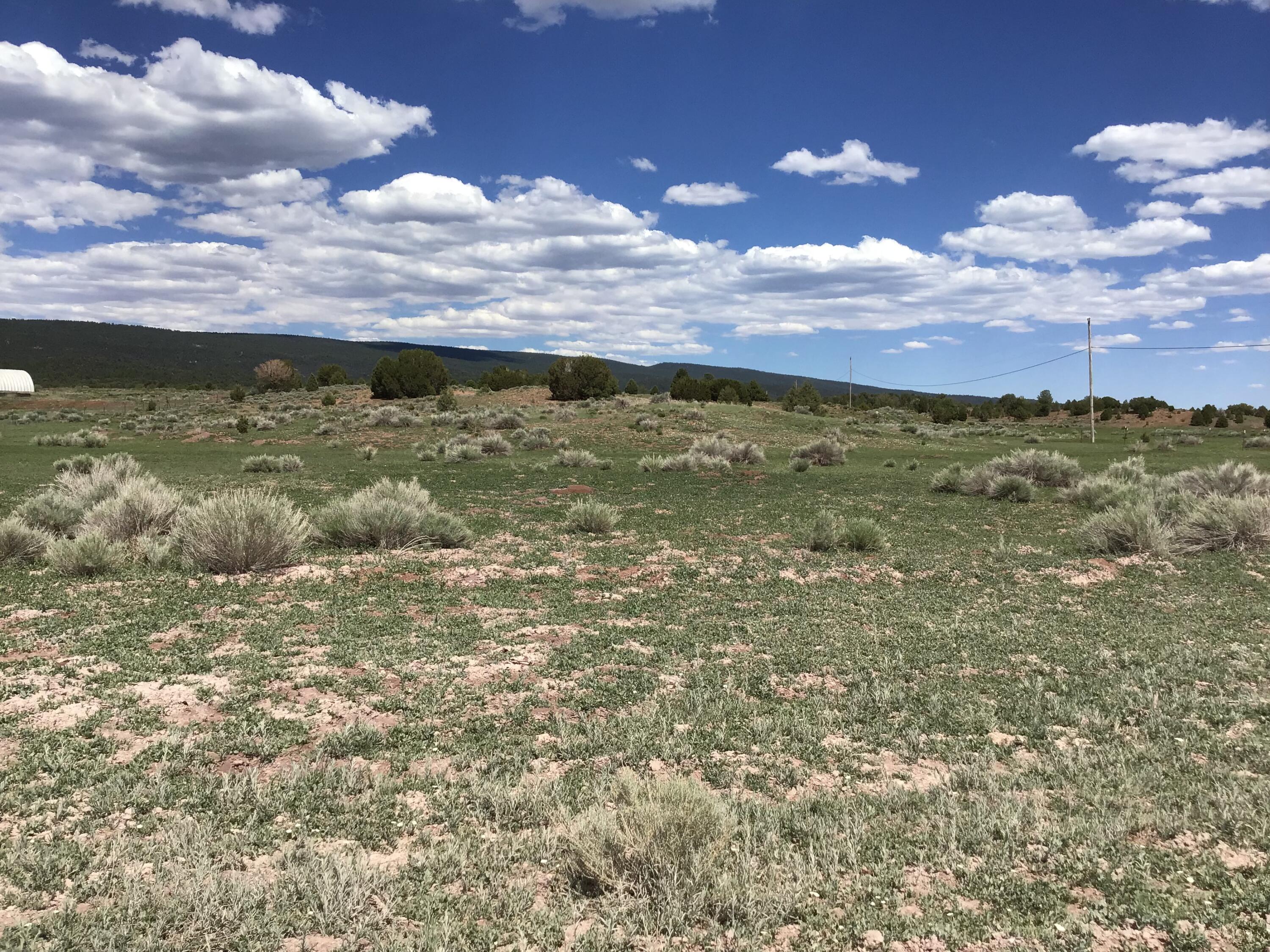 Lot D Timberlake Road Ramah, NM 87321 - Photo 41 of 45 Gallery Image 41