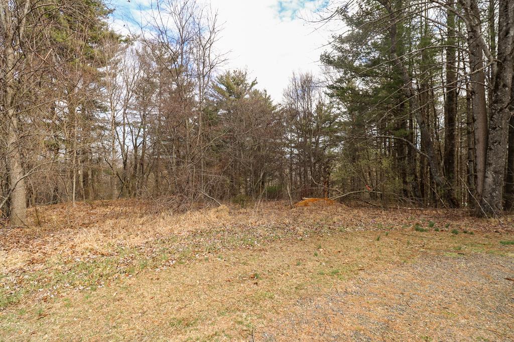 Tbd Tbd Keno Road, Unit 1 Laurel Fork, VA 24352 - Photo 15 of 20 Gallery Image 15