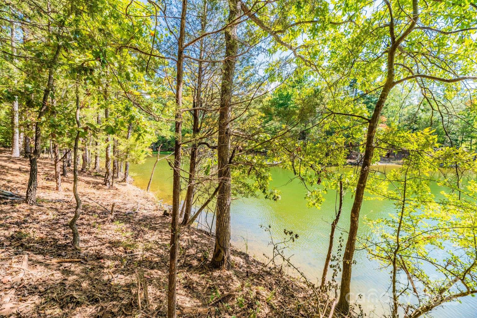 4393 Concord Road, Unit LOT 2A York, SC 29745 - Photo 2 of 6