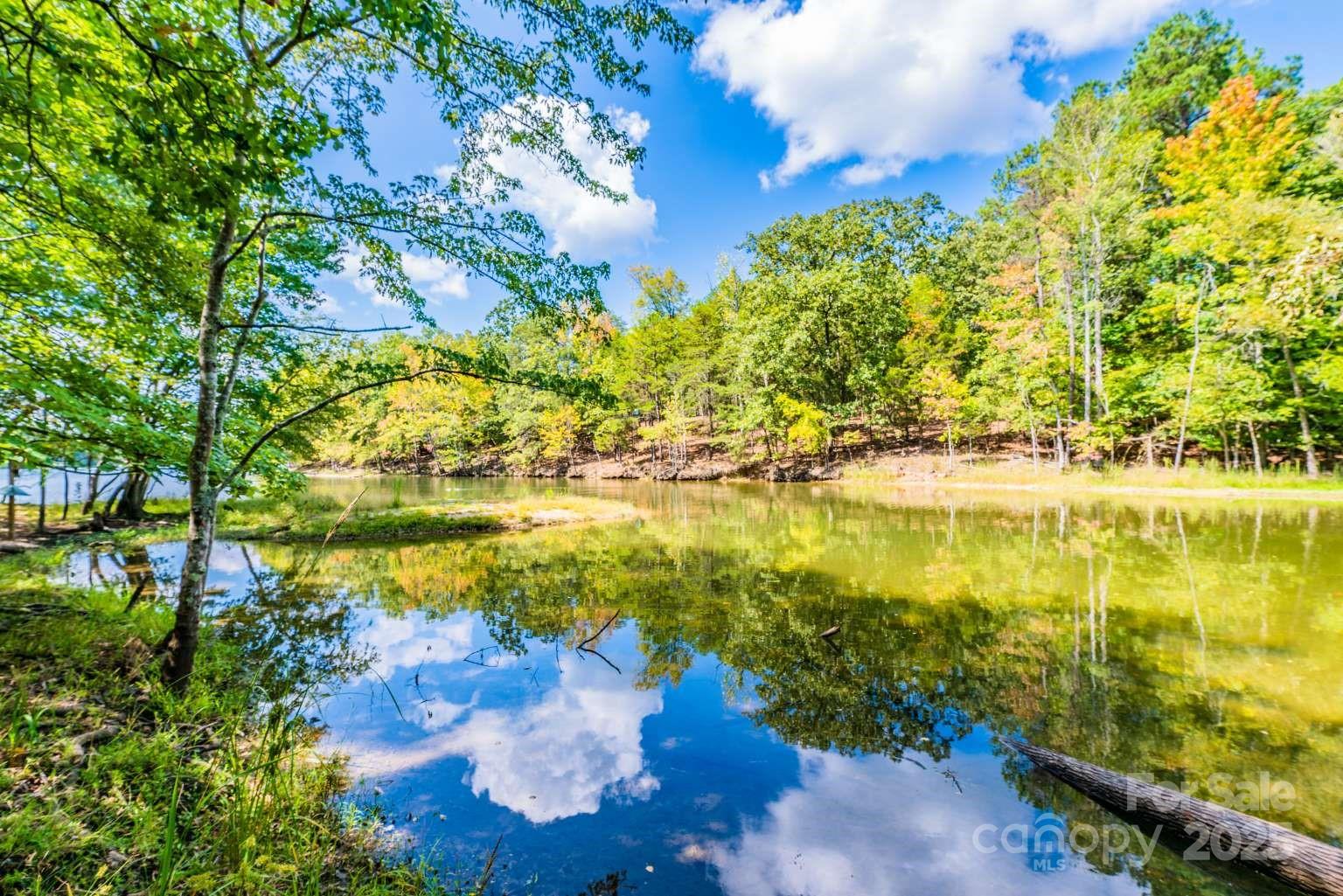 4393 Concord Road, Unit LOT 2A York, SC 29745 - Photo 5 of 6