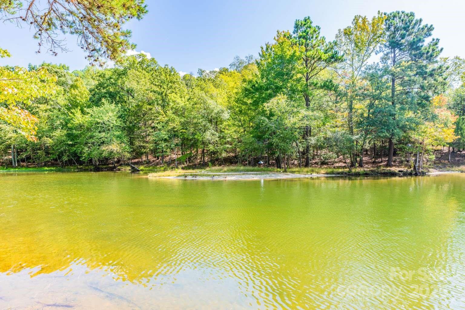 4393 Concord Road, Unit LOT 2A York, SC 29745 - Photo 6 of 6