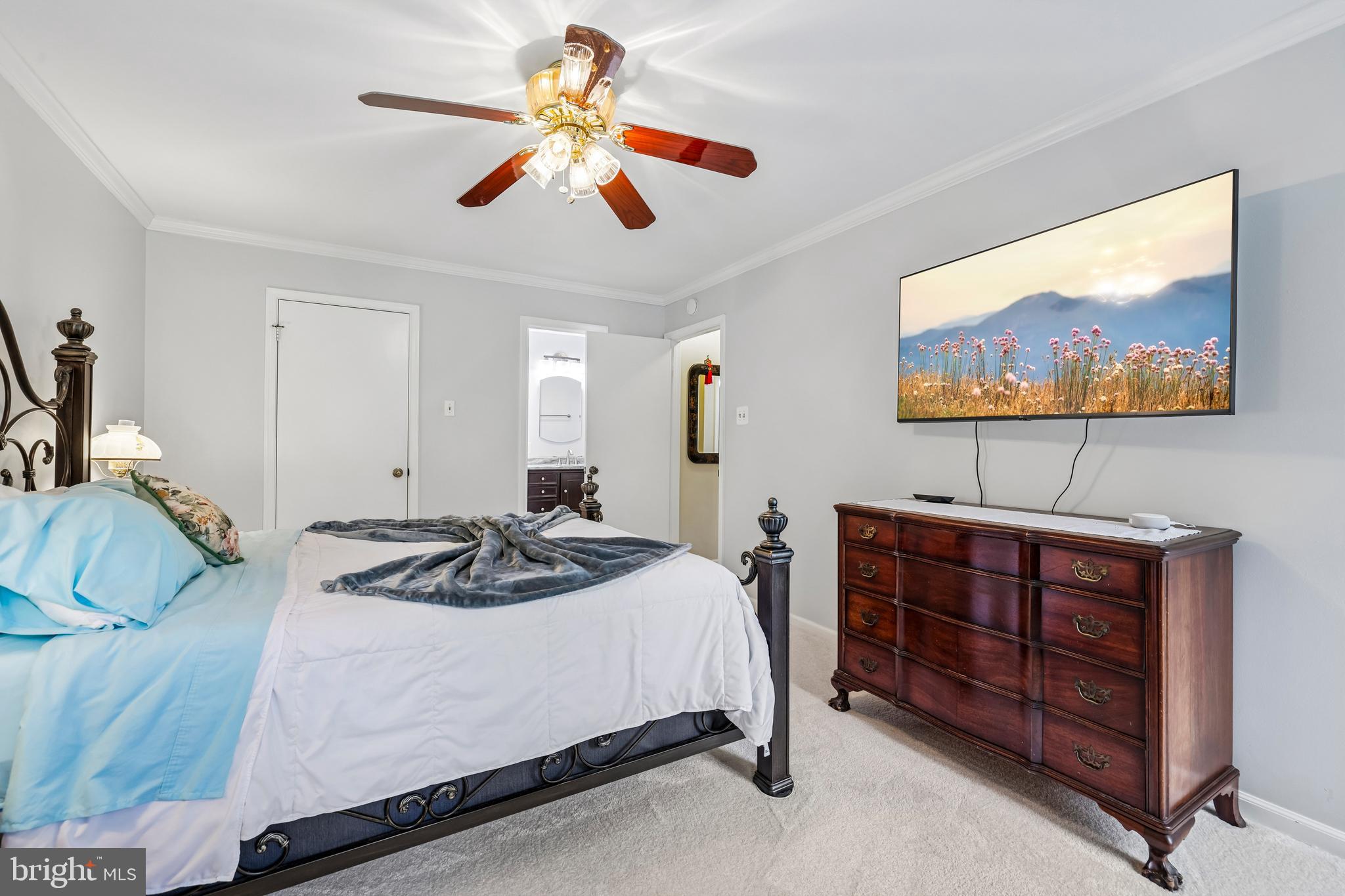 5057 Ten Mills Road Columbia, MD 21044 - Photo 28 of 60 Primary Bedroom