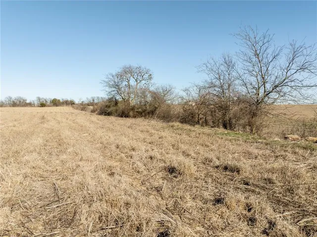 a view of beach and trees