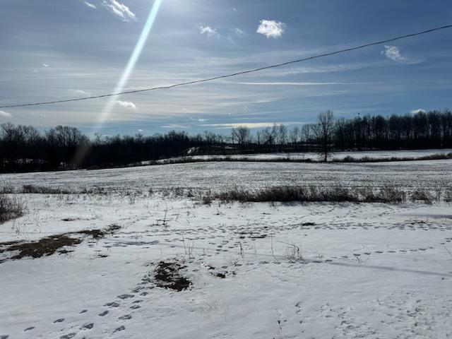 8501 Alvord Road Montgomery, MI 49255 - Photo 5 of 30 1738178535198