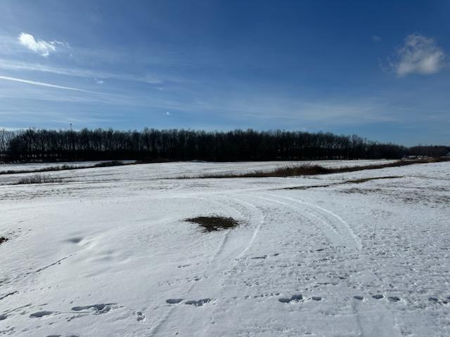 8501 Alvord Road Montgomery, MI 49255 - Photo 6 of 30 1738178535519