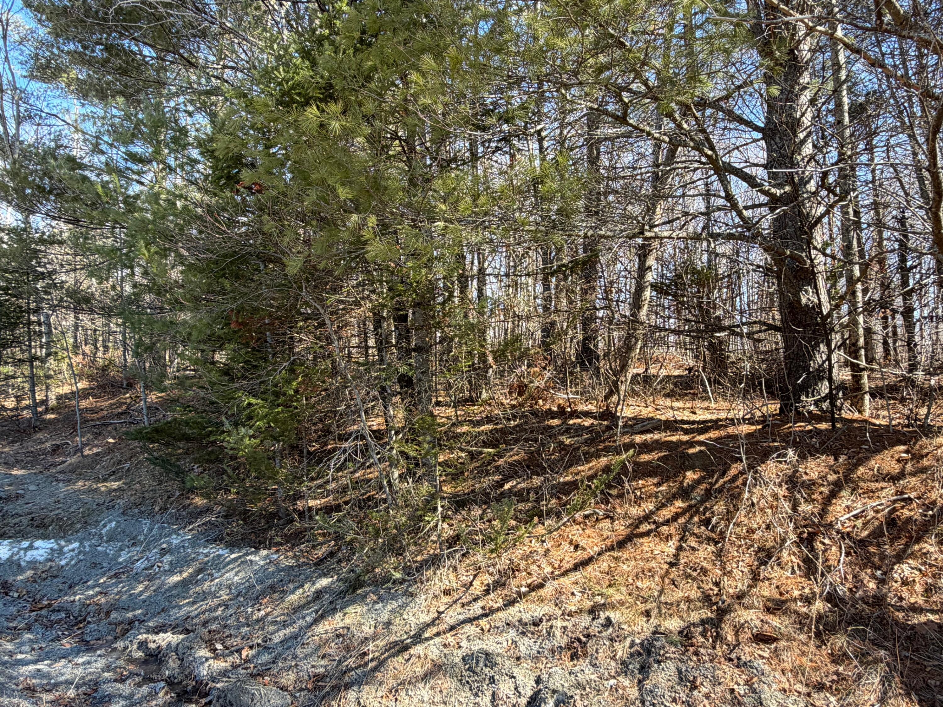 10 Map Road St. Albans, ME 04971 - Photo 4 of 6 4