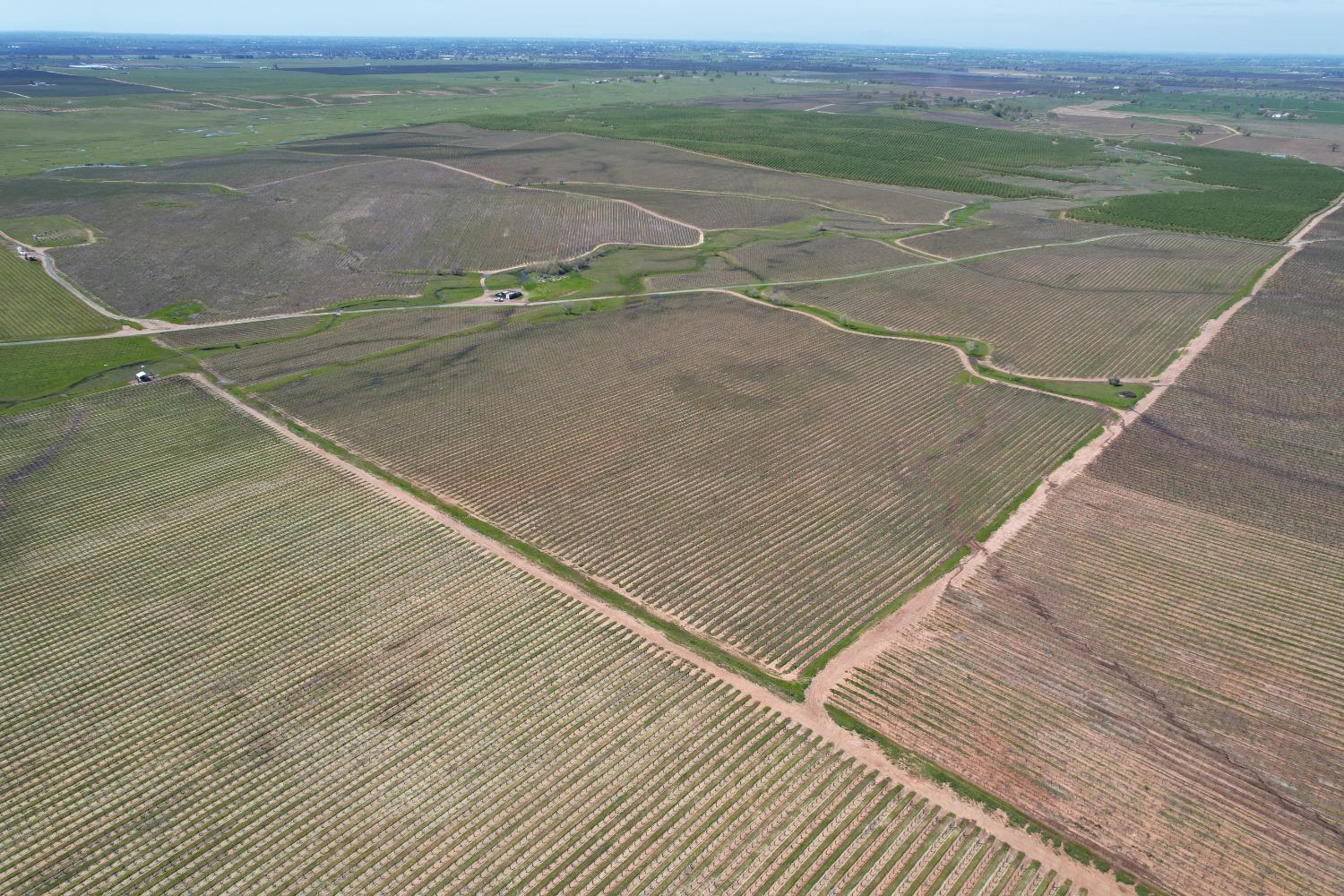 17559 East Liberty Road Clements, CA 95227 - Photo 3 of 8 a view of a tennis court