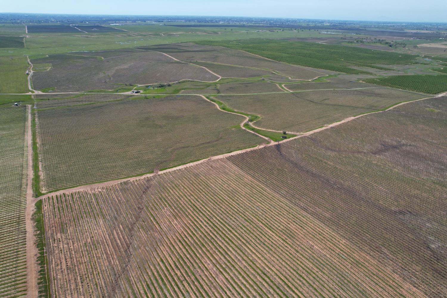 17559 East Liberty Road Clements, CA 95227 - Photo 4 of 8 a view of a tennis court