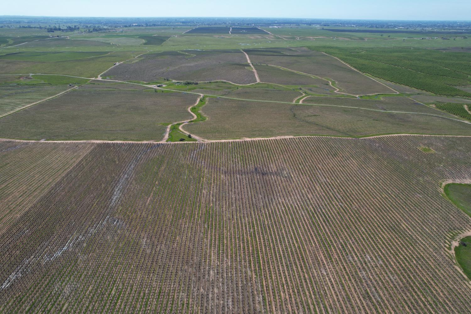 17559 East Liberty Road Clements, CA 95227 - Photo 5 of 8 a view of a tennis court