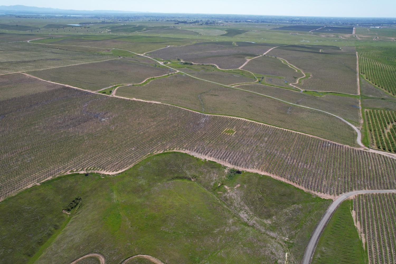 17559 East Liberty Road Clements, CA 95227 - Photo 6 of 8 a view of a tennis court