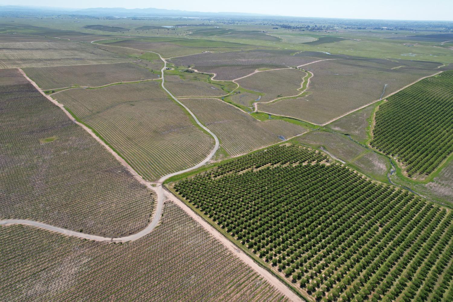 17559 East Liberty Road Clements, CA 95227 - Photo 7 of 8 a view of a tennis court