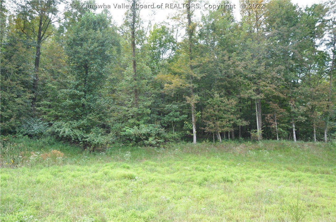 0 Fuquays Creek Road Sod, WV 25564 - Photo 4 of 21 Gallery Image 4