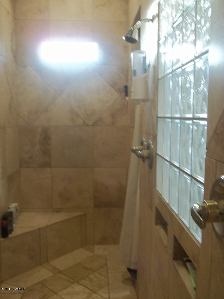 16132 West Peak View Road Surprise, AZ 85387 - Photo 9 of 15 Master Bath