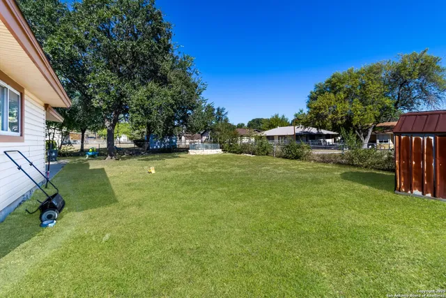 a view of a park with large trees