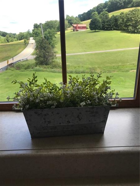 1133 Pine Run Road Apollo, PA 15613 - Photo 6 of 25 Looking at the view from the kitchen window. Notice how deep all the windows are.