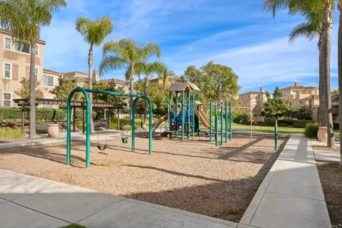 a view of a park with palm trees