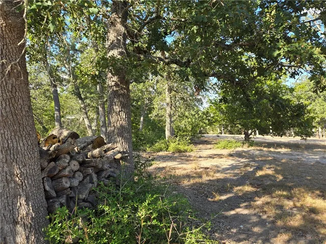 a view of a yard with a tree