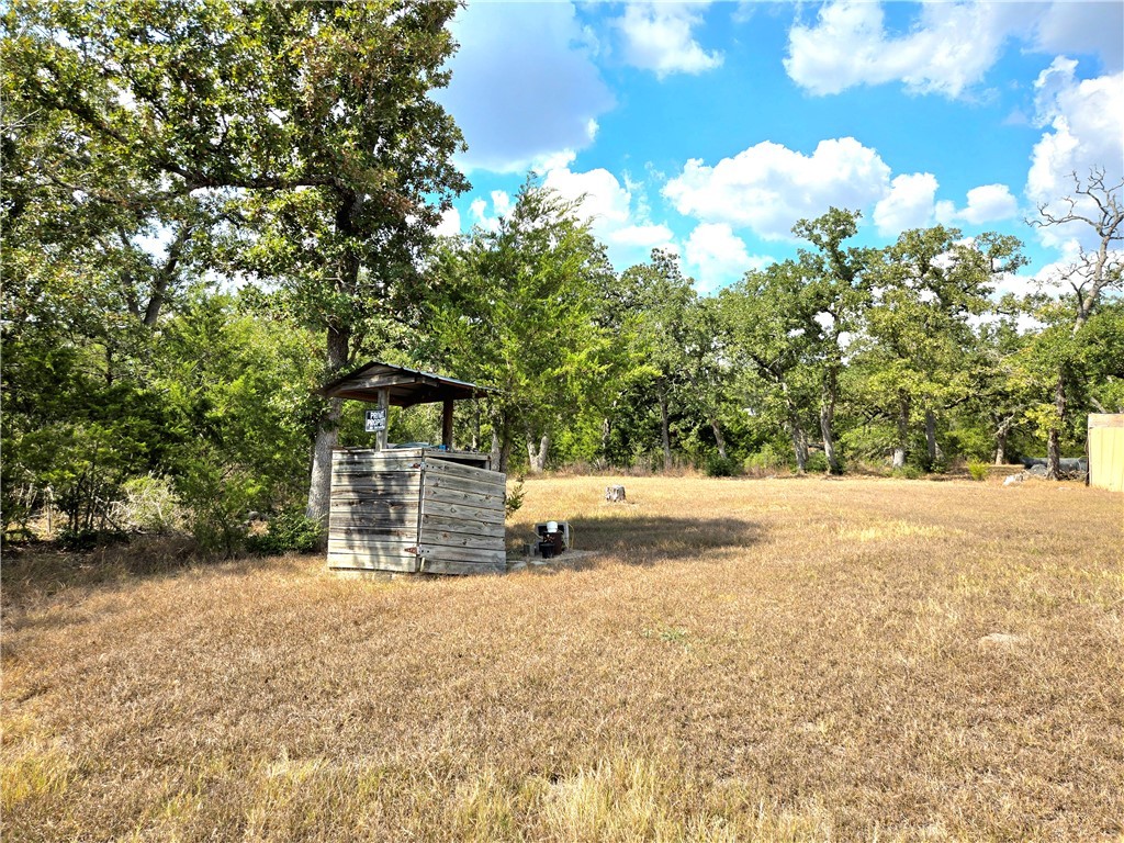 401 Raiders Road Somerville, TX 77879 - Photo 8 of 30 a view of a yard with an trees