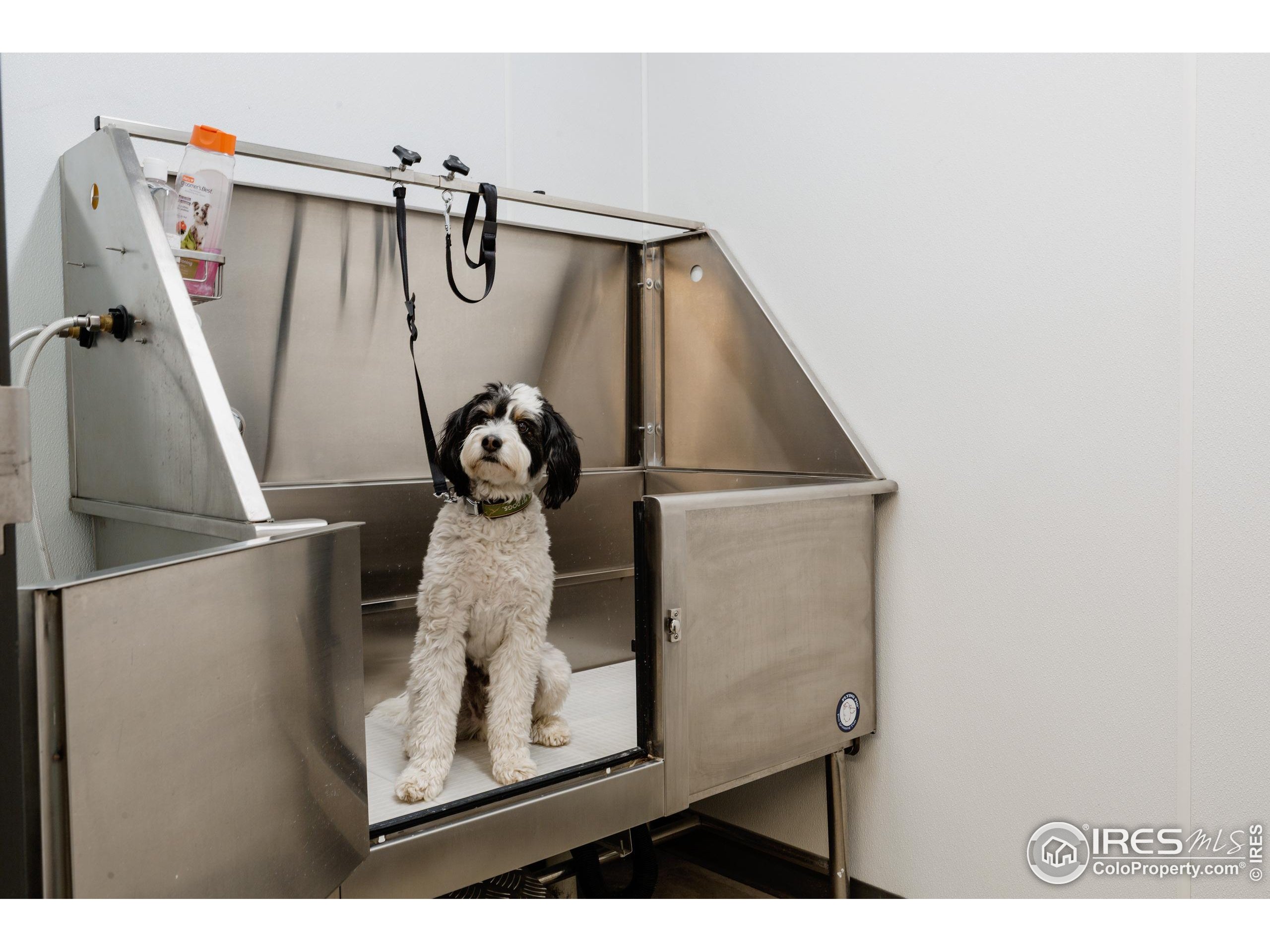401 Linden Street, Unit 3336 Fort Collins, CO 80524 - Photo 37 of 38 a picture of a room with wooden floor and white walls