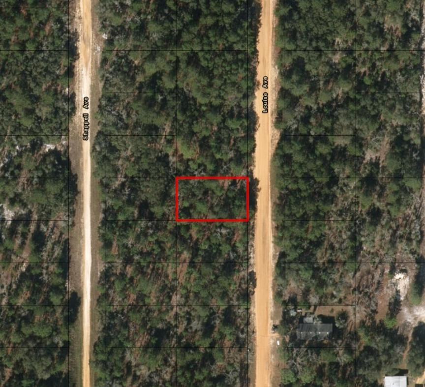 0 Louise Avenue Interlachen, FL 32148 - Photo 2 of 2 Photo 2